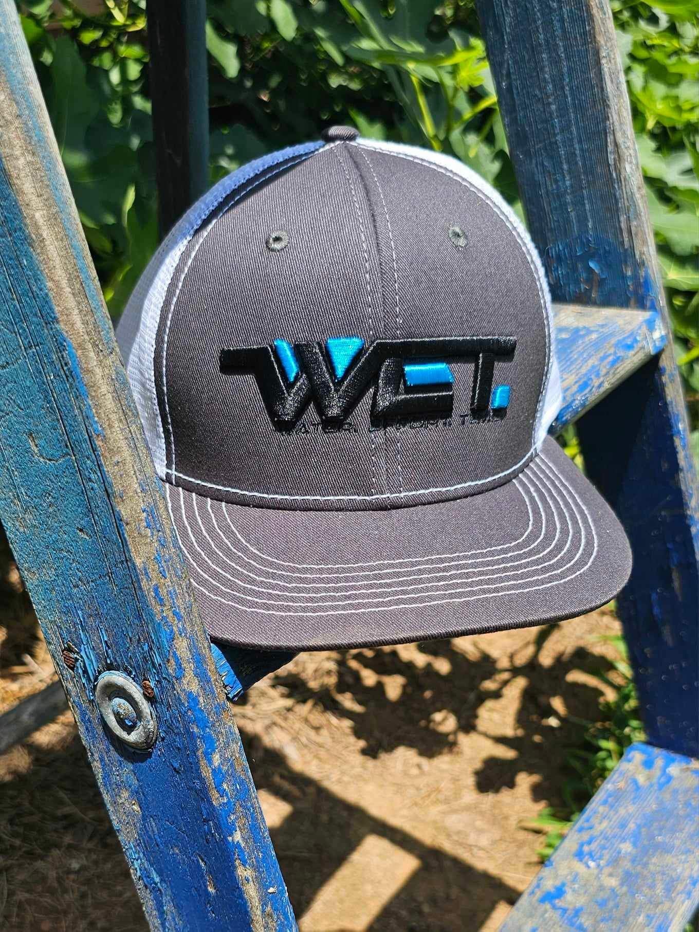 3D Embroidered WET. Hat